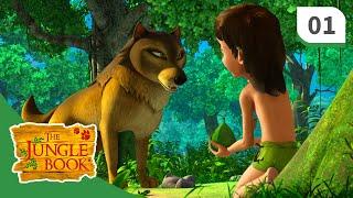 The Jungle Book  Mowgli King of the Jungle  Season 3 - Episode 1 - Full Length