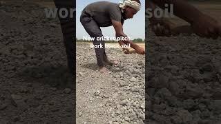 New cricket pitch black soil works how to new cricket pitch turf #cricket #trending #shorts #viral