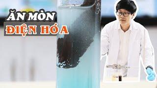 Ăn mòn ĐIỆN HÓA | Al + CuSO4 + HCl  Mr. Skeleton Thí Nghiệm