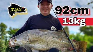 13kg 92cm Siakap Putih Sabah / Casting Siakap Putih / Barramundi Fishing / Ryu Chiang