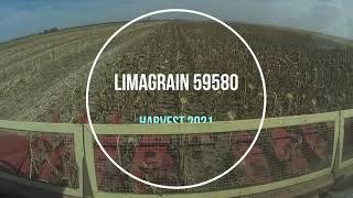 30.08.21 Уборка подсолнечника 2021. Лимагрейн 59580/ Limagrain 59580.