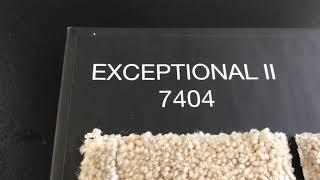 Exceptional II, Prime Time's Replacement