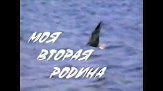 Видео-Энциклопедия корё сарам.  Док.фильм "Моя вторая родина".Часть 5, АКК, 1998