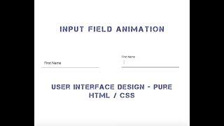 Input Field Animation - Pure HTML /CSS