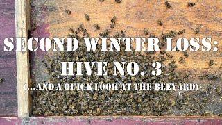 Second Winter Loss: Hive No. 3 & Quick Look at the yard | #colesfarmnc #jacksonvillenc #beekeeping