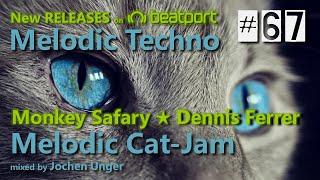 GR#67 - Melodic Cat-Jam - #melodictechno