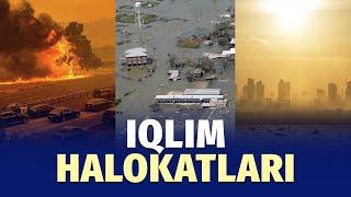 Iqlim xavfi – 2025 indeksi e’lon qilindi. Unda nimalar haqida so‘z boradi?