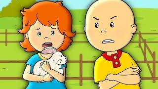 Caillou'nun Tavşanı | Caillou Türkçe - WildBrain