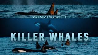 Face to Face with Killer Whales - My Most Insane Adventure Yet!