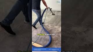 Colorado's Best Carpet Cleaning – Experience the Premier Difference! #shorts