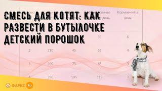 Смесь для котят: как развести в бутылочке детский порошок