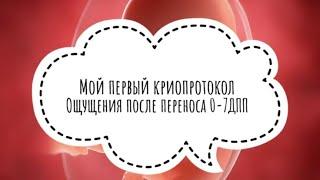 Мой первый криопротокол. Ощущения после переноса 0-7ДПП