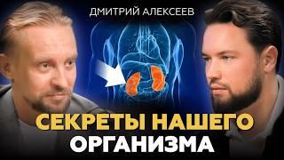 ПРИНЦИПЫ ЗДОРОВОЙ ЖИЗНИ / Дмитрий Алексеев про старение, здоровье и жилье, которое вас убивает