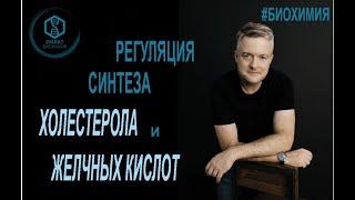 Биохимия: Регуляция синтеза холестерола и желчных кислот