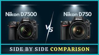 Nikon D750 vs D7500 Comparison | Full frame or APS-C Sensor?