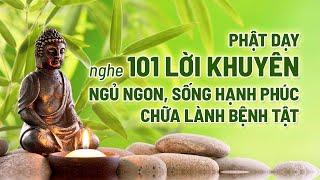 Nghe 101 lời khuyên Phật dậy ngủ ngon, sống hạnh phúc, chữa lành bệnh tật