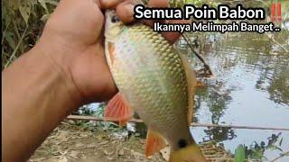 Nilem Gemoy..!! Mancing Ikan Nilem dan Ikan Putihan Di Danau Bekas Galian Tambang