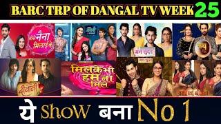 Dangal TV All Shows Barc Trp of This Week 25 (2024) | Barc Trp Of Dangal TV