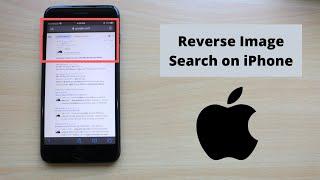 How to Reverse Image Search on iPhone (2021)