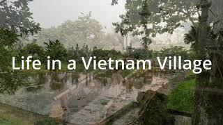 Life in a  Vietnam Village