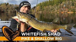 Whitefish Shad Savage Gear : pour les pêcheurs de brochet