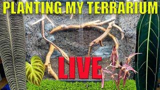 PLANTING a TERRARIUM LIVE!!!