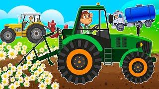 Farmers Works - Tractor and Sowing and Processing the Field - Growing Flowers | Monkey Farm Life