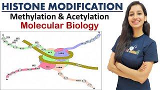 Histone Modification I Methylation I Acetylation Molecular Biology CSIRNET GATE IITJAM DBT ICMR ICAR