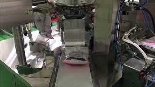 Pouch Packing Machine-Frozen Berries