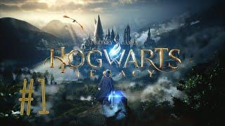 ПЕРСПЕКТИВНЫЙ УЧЕНИК ► Hogwarts Legacy #1