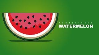 Draw with me  | How to create watermelon  | Adobe Illustrator | For Beginners 101