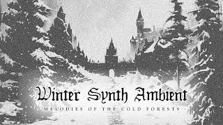 1 HOUR OF WINTER SYNTH AMBIENT - Melodies of the Cold Forests