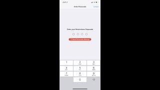 How To Recover Forgotten Restriction / Screen Time Passcode On iOS 13 Or later 2020