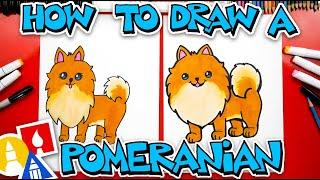 How To Draw A Pomeranian Cartoon