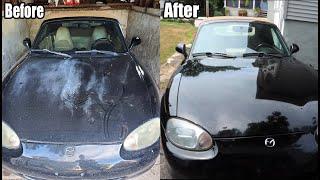 Restoring Sun Damaged Paint By Hand (Incredible Results)