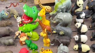 Counting to 5 for Toddlers with Various Animal Toys