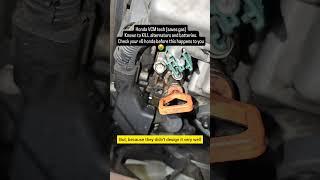 Honda oil leak ruins alternator how to fix.