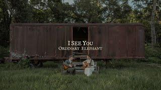 I See You - Ordinary Elephant [Official Video]