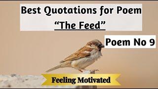 Poem No 9 The Feed Poem Quotations || Poem no 9 quotations| #quotes #quotations