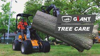 GIANT LOADERS IN THE TREE CARE BUSINESS