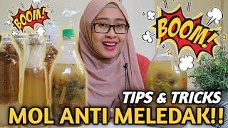 MOL 101 (CARA MEMBUAT, ANTI MELEDAK, APLIKASI) | MAKING LIQUID FERTILIZER