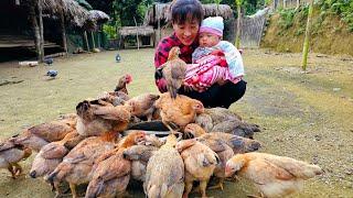 Take care of the baby - gardening - Build a farm | Bàn Thị Diết