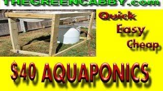 Cheap & Easy $40 AQUAPONICS / LARGE SCALE DIY How-To Barrelponics Aquaponic Set Up