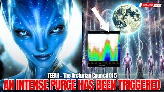 "HIGH ENERGY ALERT! This Will Affect All Starseeds..." | The Arcturian Council Of 5 - T'EEAH