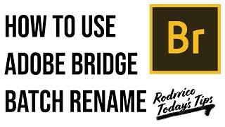 How To Use Adobe Bridge Batch Rename (MAC or PC)