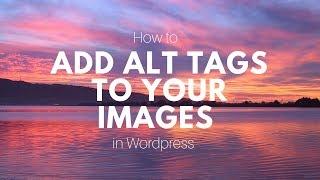 How to Add Alt Tags to An Image in Wordpress - Boost Your SEO