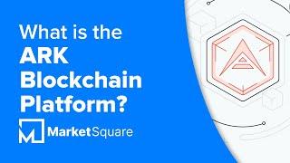 What is the ARK Blockchain Platform? | Blockchain for Developers | Typescript Blockchain