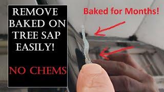 Easiest Way to Safely Remove Baked on Tree Sap