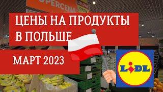 ЦЕНЫ НА ПРОДУКТЫ В ПОЛЬШЕ 2023! Lidl WARSZAWA