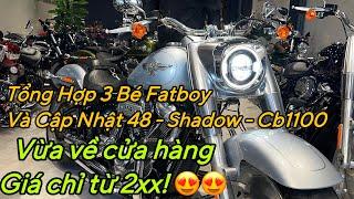 Tổng hợp 3 bé Fatboy và cập nhật các xe 48/Shadow/Cb1100 vừa nhập đội siêu chỉ từ 2XX mời anh em ️